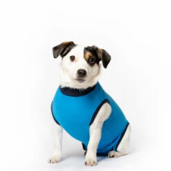 Jacketz Medical Body Suit Hond -Hondenbenodigdheden jacketz medical body suit hond xs blue 129595 2000 none