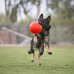 Jolly Soccer Ball 23 Jolly Soccer Ball -Hondenbenodigdheden jolly soccer ball 162241 0500 none