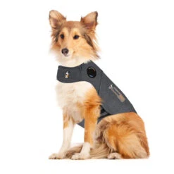 Thundershirt Hond -Hondenbenodigdheden jpbM91evrKZv3JzhxJfJF0FruqLREb metaVGh1bmRlcnNoaXJ0LmpwZw