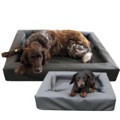 Lounge Dogbed 5 Lounge Dogbed -Hondenbenodigdheden k0c0dZ2pVr6Zup13w3sk8ItH6Rm5Pf metacHJvZHVjdF9sb3VuZ2VfZG9nYmVkX21lZHBldHNfNF8xMzkzNDk1MzY2Xzc4MjUuanBn