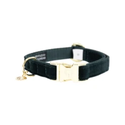 Kentucky Dogwear Velvet Hondenhalsband 26 Kentucky Dogwear Velvet Hondenhalsband -Hondenbenodigdheden kentucky dogwear velvet emerald l 42 68 cm 134926 0500 none