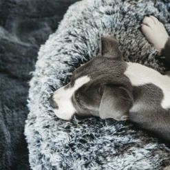 Kentucky Dogwear Comfort Donut Hondenmand 23 Kentucky Dogwear Comfort Donut Hondenmand -Hondenbenodigdheden kentucky dogwear comfort donut hondenmand 219723 0500 none