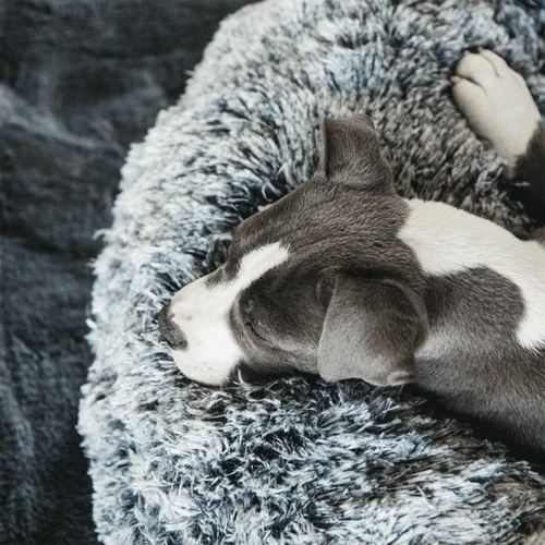 Kentucky Dogwear Comfort Donut Hondenmand 12 Kentucky Dogwear Comfort Donut Hondenmand - Afbeelding 10