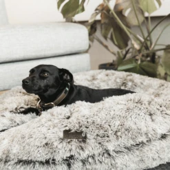 Kentucky Dogwear Comfort Donut Hondenmand 24 Kentucky Dogwear Comfort Donut Hondenmand -Hondenbenodigdheden kentucky dogwear comfort donut hondenmand 219727 0500 none