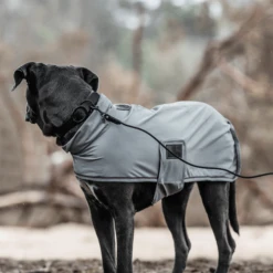 Kentucky Dogwear Soft Rubber Hondenhalsband 23 Kentucky Dogwear Soft Rubber Hondenhalsband -Hondenbenodigdheden kentucky dogwear soft rubber hondenhalsband 219265 0500 none