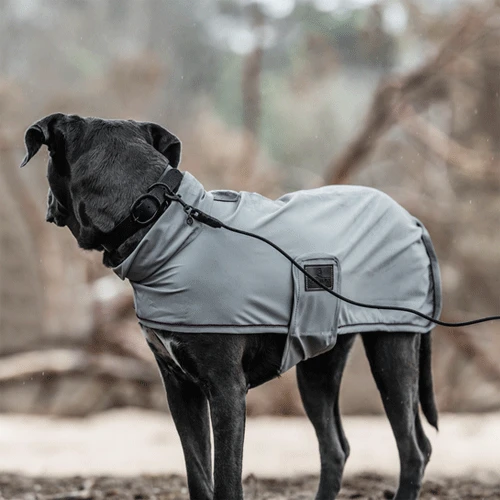 Kentucky Dogwear Soft Rubber Hondenhalsband 10 Kentucky Dogwear Soft Rubber Hondenhalsband - Afbeelding 8