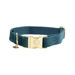 Kentucky Dogwear Velvet Hondenhalsband 40 Kentucky Dogwear Velvet Hondenhalsband -Hondenbenodigdheden kentucky dogwear velvet hondenhalsband 219231 0500 none