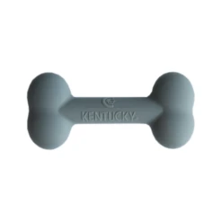 Kentucky Siliconen Bot