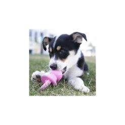 KONG Binkie 9 KONG Binkie -Hondenbenodigdheden kong binkie 222748 1500 none