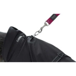 Kruuse Rehab Hondendeken 8 Kruuse Rehab Hondendeken -Hondenbenodigdheden kruuse rehab hondendeken 108004 0500 none