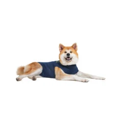 Medical Pet Shirt Hond 35 Medical Pet Shirt Hond -Hondenbenodigdheden medical pet shirt hond 167410 1000 none
