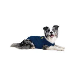 Medical Pet Shirt Hond 37 Medical Pet Shirt Hond -Hondenbenodigdheden medical pet shirt hond 167416 1000 none