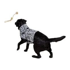 Medical Pet Top Shirt - Zebraprint -Hondenbenodigdheden medical pet top shirt zebraprint 150701 1000 none