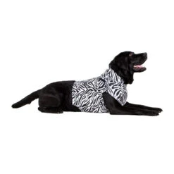 Medical Pet Top Shirt - Zebraprint -Hondenbenodigdheden medical pet top shirt zebraprint 150704 1000 none