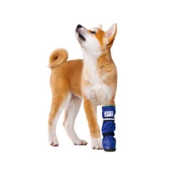 Medical Pet Shirt Boot 26 Medical Pet Shirt Boot -Hondenbenodigdheden medical pets boot 167479 1000 none