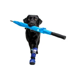 Medical Pet Shirt Boot 28 Medical Pet Shirt Boot -Hondenbenodigdheden medical pets boot 167482 1000 none