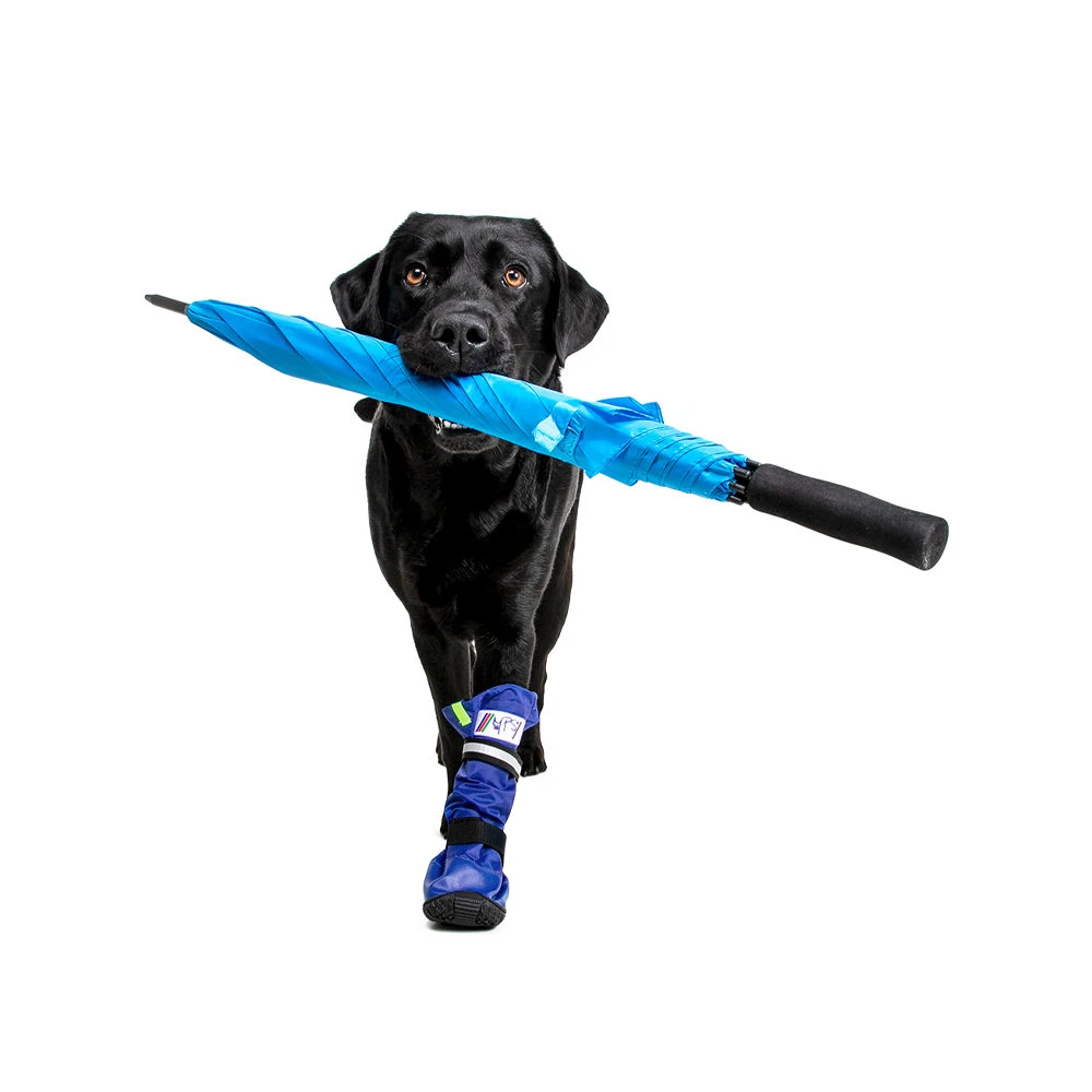 Medical Pet Shirt Boot 12 Medical Pet Shirt Boot - Afbeelding 10