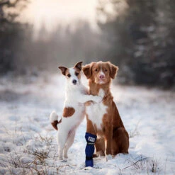 Medical Pet Shirt Boot 33 Medical Pet Shirt Boot -Hondenbenodigdheden medical pets boot 167509 0500 none