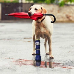 Medical Pet Shirt Boot 34 Medical Pet Shirt Boot -Hondenbenodigdheden medical pets boot 167512 0500 none