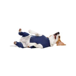 MPS-HLS Achterpootmouwtjes 20 MPS-HLS Achterpootmouwtjes -Hondenbenodigdheden mps hls achterpootmouwtjes 167440 1000 none