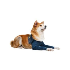 MPS-TAZ2 Voorpootmouwtjes 24 MPS-TAZ2 Voorpootmouwtjes -Hondenbenodigdheden mps taz2 voorpootmouwtjes 167446 1000 none