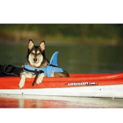 Nobby Sharki Hondenzwemvest -Hondenbenodigdheden nobby sharki hondenzwemvest 221666 1000 none