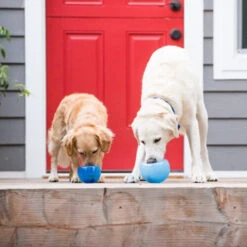 Planet Dog Orbee-Tuff Lil’ Snoop Toy -Hondenbenodigdheden orbee tuff lil snoop toy 203408 0500 none