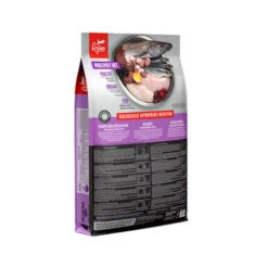 Orijen Puppy Large Breed Whole Prey -Hondenbenodigdheden orijen puppy large breed whole prey 198290 0500 none