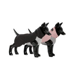 PAIKKA Recovery Winter Shirt -Hondenbenodigdheden paikka recovery winter shirt 217785 2000 none