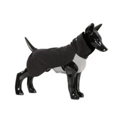 PAIKKA Recovery Winter Shirt -Hondenbenodigdheden paikka recovery winter shirt grey maat 40 134524 2000 none