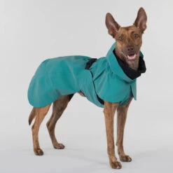 PAIKKA Visibility Raincoat Emerald -Hondenbenodigdheden paikka visibility raincoat emerald 222162 2000 none