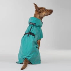 PAIKKA Visibility Raincoat Emerald -Hondenbenodigdheden paikka visibility raincoat emerald 222164 2000 none