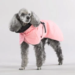 PAIKKA Visibility Winter Jacket -Hondenbenodigdheden paikka visibility winter jacket 217799 2000 none