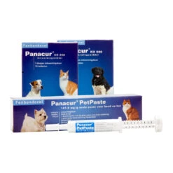 Panacur - Hond & Kat -Hondenbenodigdheden panacur hond en kat 88405 1000 none
