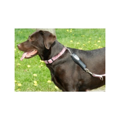 PatentoPet Dog E-walk Basic 5 PatentoPet Dog E-walk Basic - Afbeelding 3