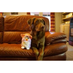 PawStory Furrby -Hondenbenodigdheden pawstory furrby 219760 0500 none