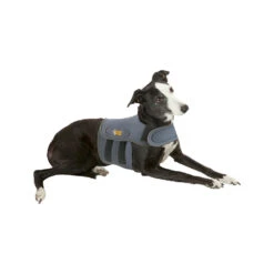 Petlife KarmaWrap Hond 11 Petlife KarmaWrap Hond -Hondenbenodigdheden petlife karmawrap hond 154186 1000 none