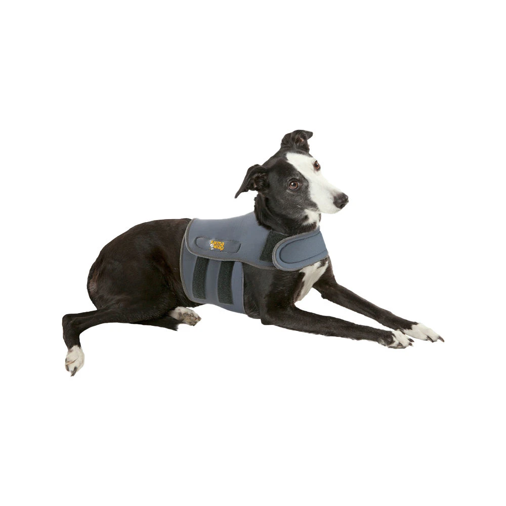 Petlife KarmaWrap Hond 6 Petlife KarmaWrap Hond - Afbeelding 4