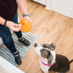 Planet Dog Orbee-Tuff Snoop -Hondenbenodigdheden planet dog orbee tuff snoop oranje 167041 1000 none