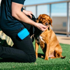 Popware Pooch Pouch Treatbag 13 Popware Pooch Pouch Treatbag -Hondenbenodigdheden popware pooch pouch treatbag 164698 2000 none