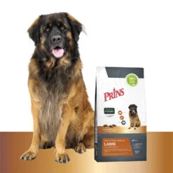 Prins Protection Croque Lamb Hypoallergenic -Hondenbenodigdheden prins protection croque lamb hypoallergenic 172030 1500 none