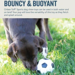 Planet Dog Orbee-Tuff Soccer Ball 15 Planet Dog Orbee-Tuff Soccer Ball -Hondenbenodigdheden prod 14590 203615 0500 none