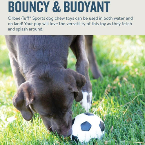 Planet Dog Orbee-Tuff Soccer Ball 9 Planet Dog Orbee-Tuff Soccer Ball - Afbeelding 7