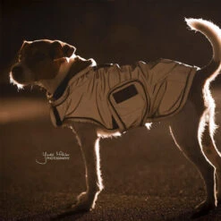 Kentucky Dog Coat Reflective & Waterrepellent 23 Kentucky Dog Coat Reflective & Waterrepellent -Hondenbenodigdheden prod 15746 219015 0500 none