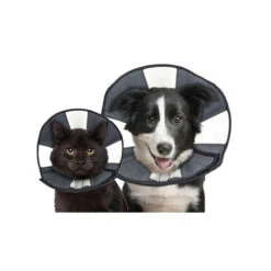 ZenPet Zen Collar -Hondenbenodigdheden prod 5332 89019 0500 none