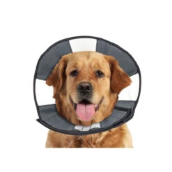 ZenPet Zen Collar -Hondenbenodigdheden prod 5332 89025 0500 none