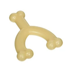 Nylabone Durable Wishbone 5 Nylabone Durable Wishbone -Hondenbenodigdheden prod 5409 89475 0500 none