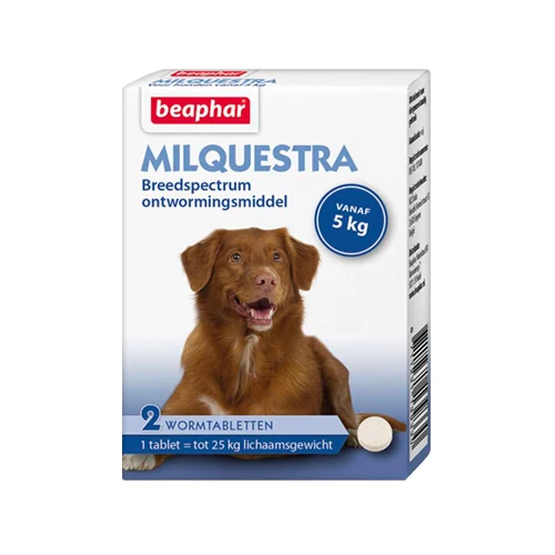 Beaphar Milquestra Hond 4 Beaphar Milquestra Hond - Afbeelding 2