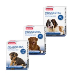 Beaphar Milquestra Hond 13 Beaphar Milquestra Hond -Hondenbenodigdheden product beaphar milquestra hond none 4 1463566026 68931