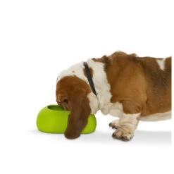 Buster Incredibowl 12 Buster Incredibowl -Hondenbenodigdheden product buster incredibowl none 4 1479720007 80827